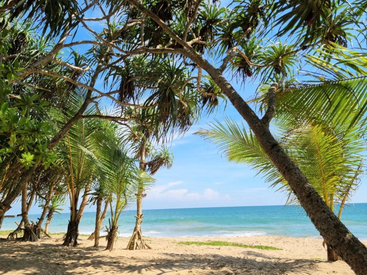 Golden Beach Paradise Tangalle Exteriér fotografie