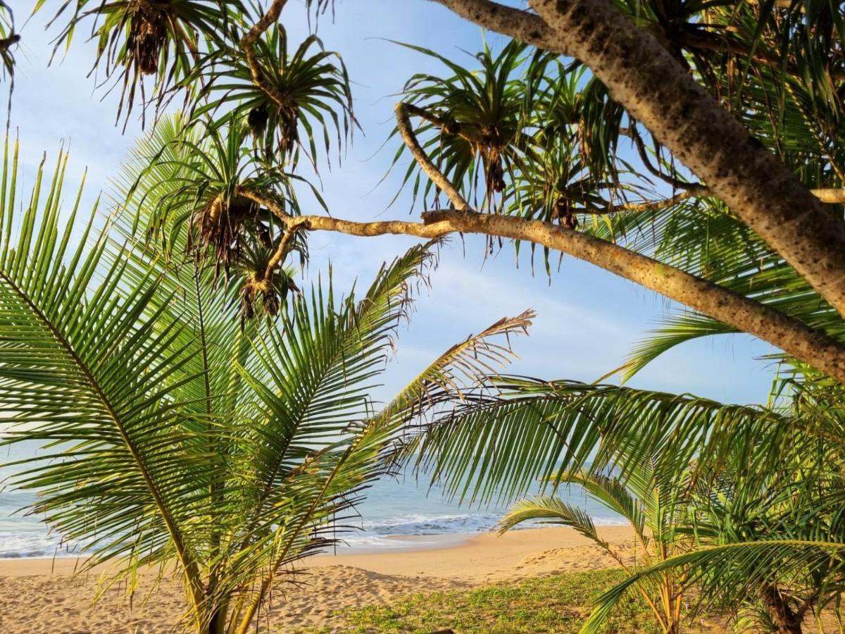 Golden Beach Paradise Tangalle Exteriér fotografie
