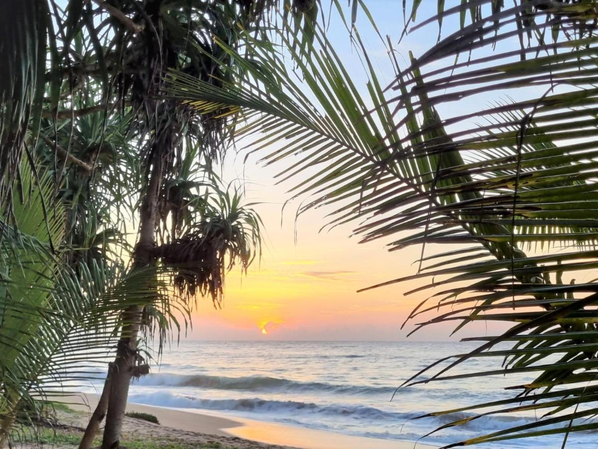 Golden Beach Paradise Tangalle Exteriér fotografie