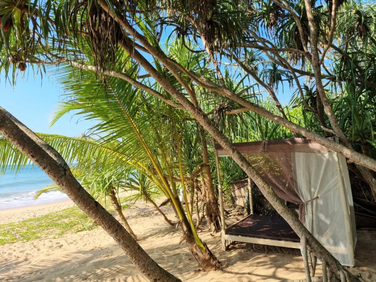 Golden Beach Paradise Tangalle Exteriér fotografie
