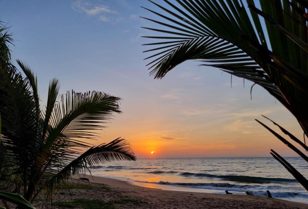 Golden Beach Paradise Tangalle Exteriér fotografie