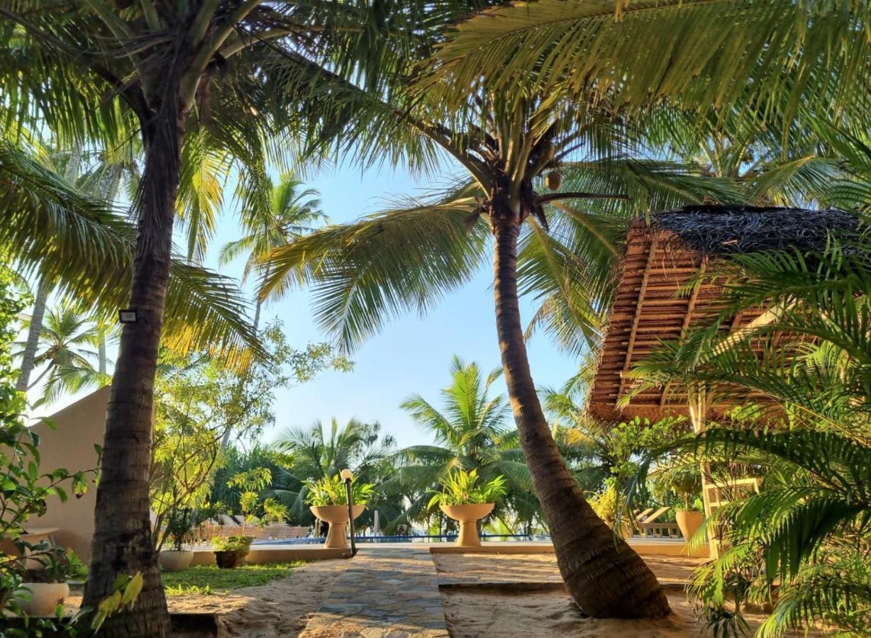 Golden Beach Paradise Tangalle Exteriér fotografie